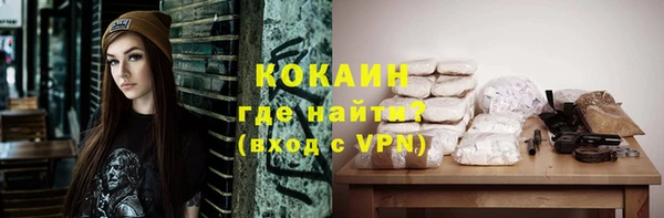 молекула духа Алексин
