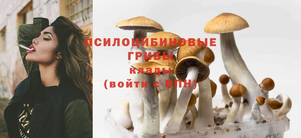 mdpv Навашино