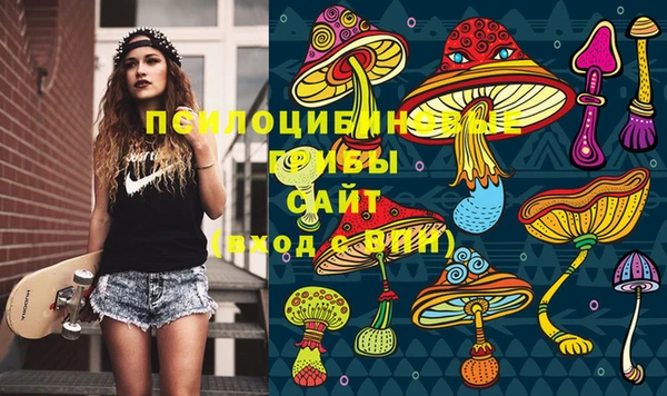 ECSTASY Алексеевка