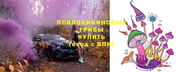 молекула духа Алексин