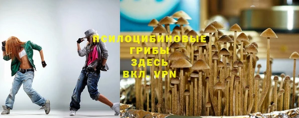 молекула духа Алексин
